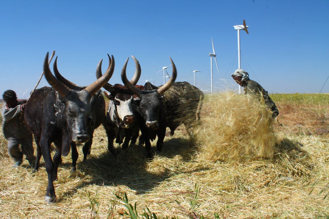 Just 23% of Ethiopia's 90 million people have access to electricity. The wind farm is expected to generate power throughout the year, except during the rainy season between June and September.