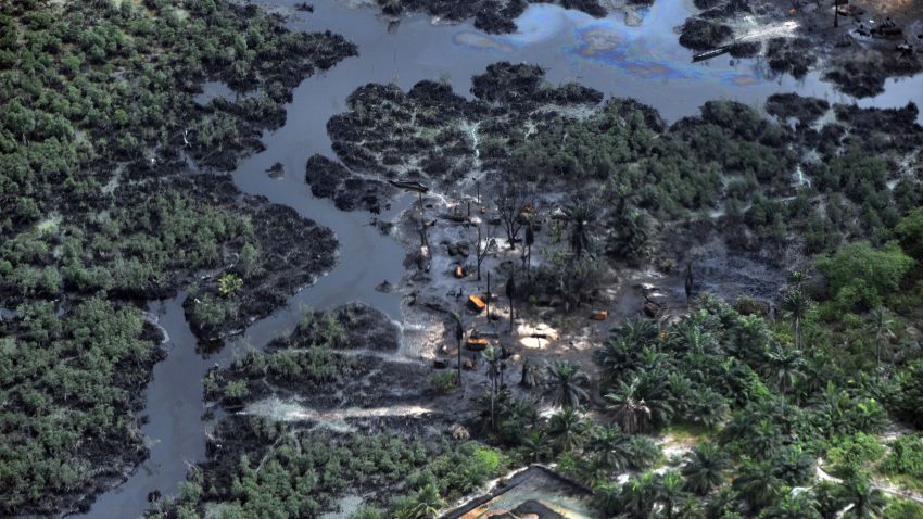Green vegetations destroyed as a result of oil spills in Niger Delta on March 22, 2013.