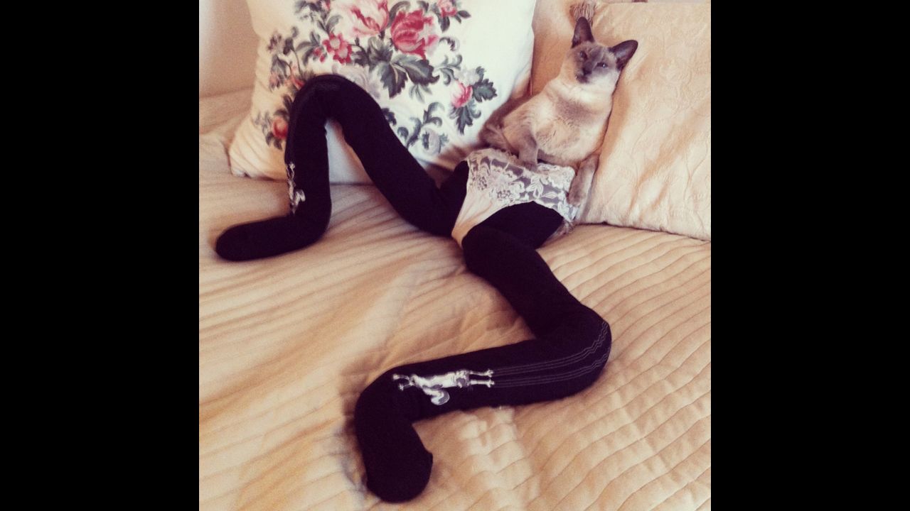 Katja Wulff and her boyfriend Dan Sörensen of Gothenburg, Sweden started the Meowtfit blog on tumblr.. It's photos of their cat, Gucci, wearing tights. And it's amazing.