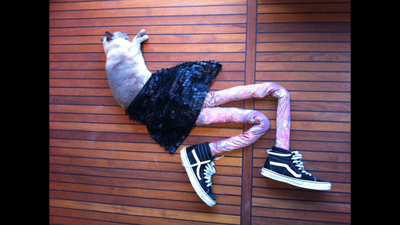 Gucci the cat  wearing tights