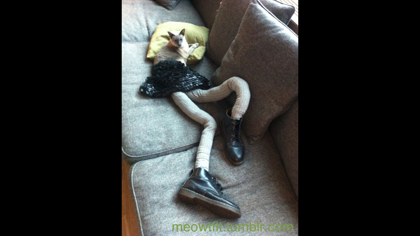 Gucci Cat Wears Tights-Kitty Leggings