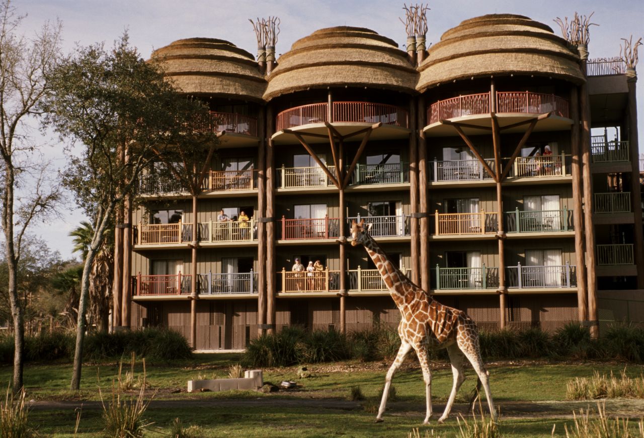 Disney's Animal Kingdom at Walt Disney World in Orlando, Florida, offers hotel views of animals wandering past.
