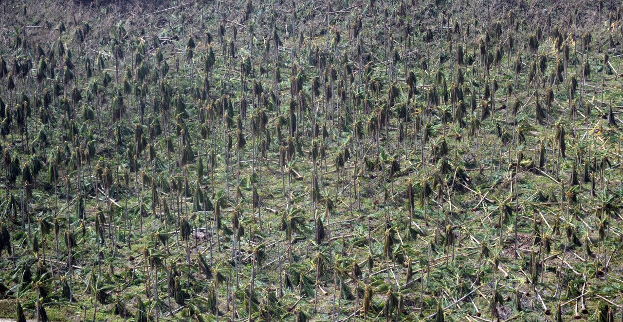Guiuan on November 11