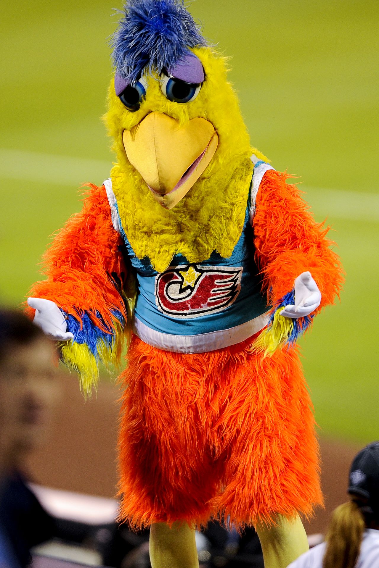Ted Giannoulas is the man behind the famously irreverent San Diego Chicken.