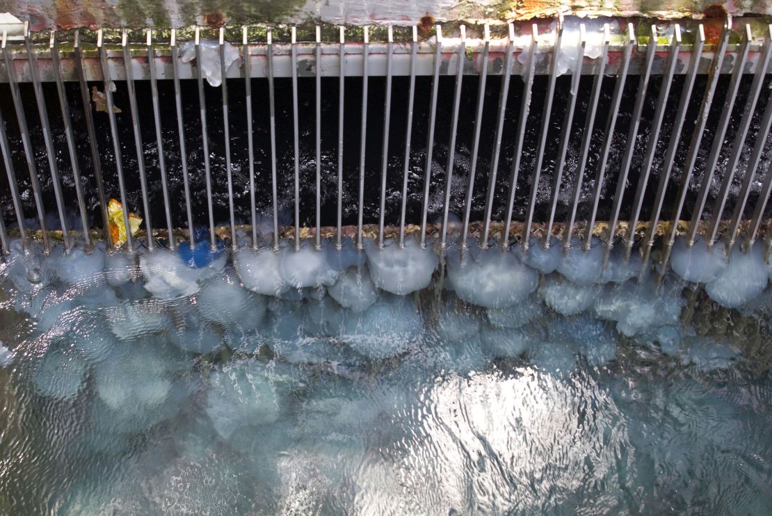 Jellyfish block grills at a power station in Hadera, Israel, in 2011. Salps shut down a California nuclear plant temporarily in 2012.