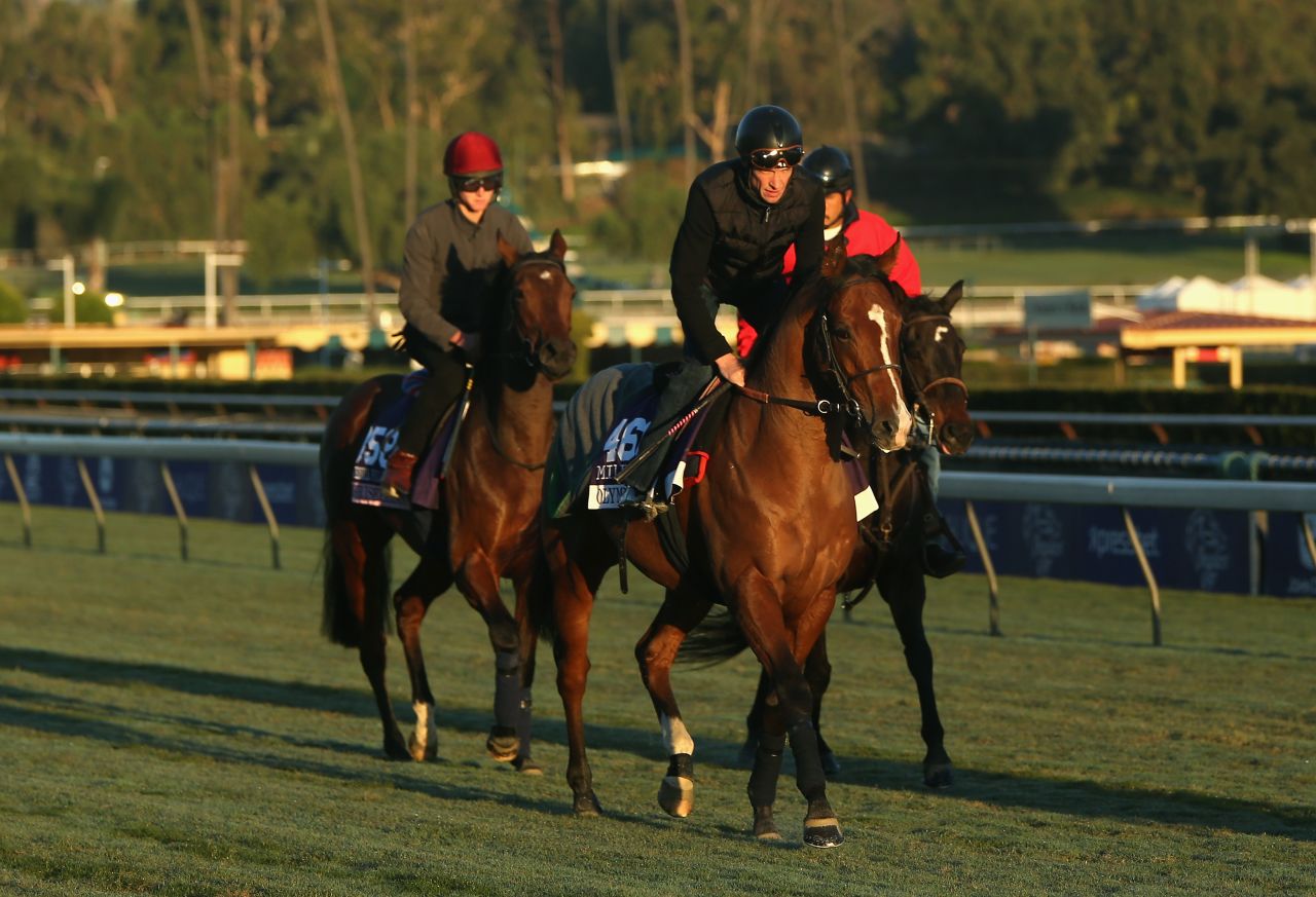 Olympic Glory is another of the horses in his stable, already a winner of the Queen Elizabeth II Stakes at Royal Ascot,with his eyes also set on winning the prestigious Breeders' Cup in the U.S.