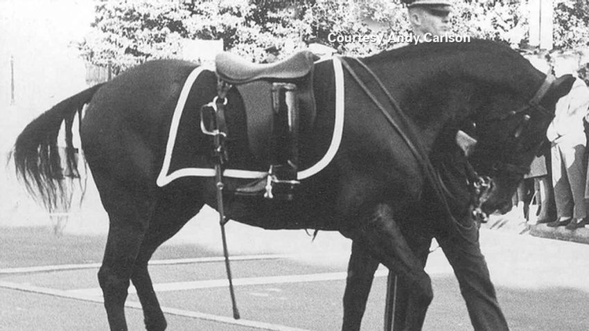tsr pkg moos jfk riderless horse_00005714.jpg