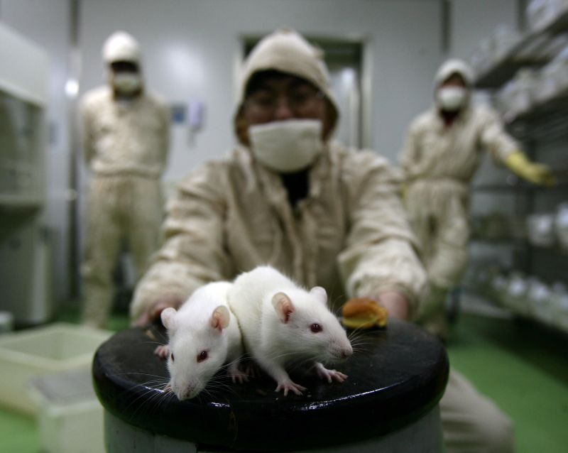 China considers end to mandatory animal testing on cosmetics CNN