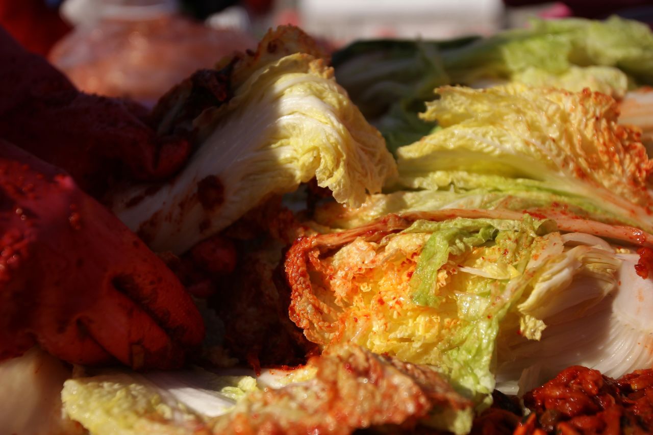 Making kimchi is a labor-intensive process involving salting cabbage, mixing in pureed chili mixture and adding fish sauce and shrimp sauce. Rubber gloves are necessary to prevent chili burn.  