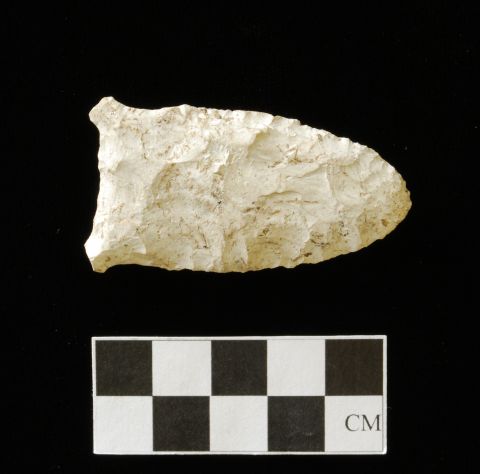 The oldest of the stone tools recovered was a Suwannee projectile point. Dating from the Paleo-Indian period (10,000 - 8,000 BC), Suwannee points are lanceolate in shape and measure between 7.5-12 cm on average. Although found across much of Florida, Suwannee points are most commonly found in the Ichetucknee and Santa Fe Rivers.