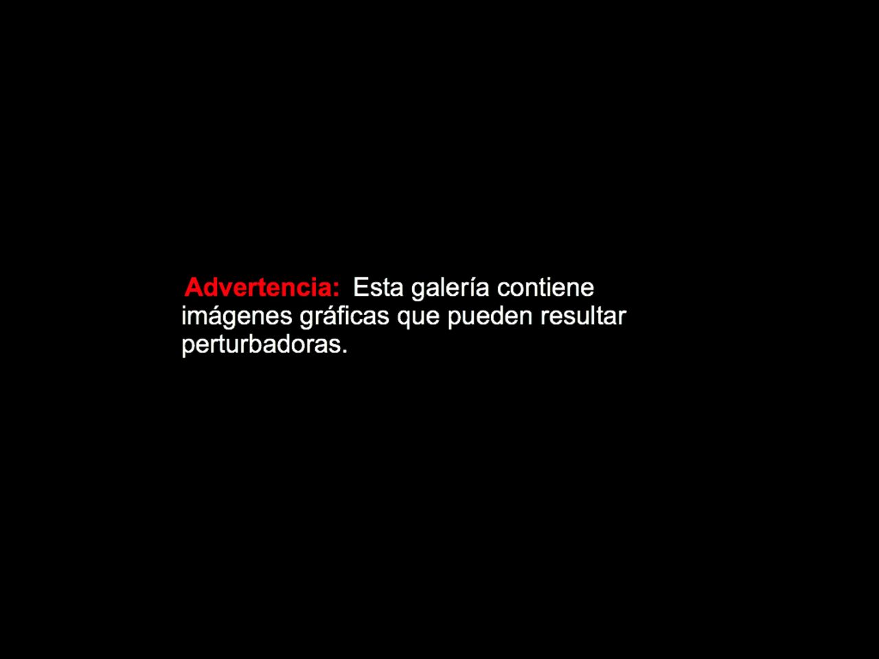 Un equipo de fiscales y expertos forenses especializados en crímenes de guerra encontró "pruebas directas" de tortura sistemática y asesinatos por parte del régimen del presidente sirio Bachar al Assad, según abogados.<br />CNN obtuvo estas fotos de manos de los abogados que participan en la investigación, quienes a su vez las recibieron de un fotógrafo militar que desertó.