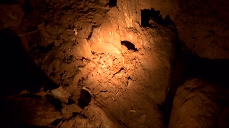 Prehistoric bones discovered in cavern | CNN