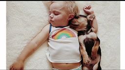 ca dnt boy and his pup nap together _00001628.jpg