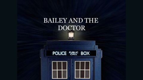 bailey doctor book