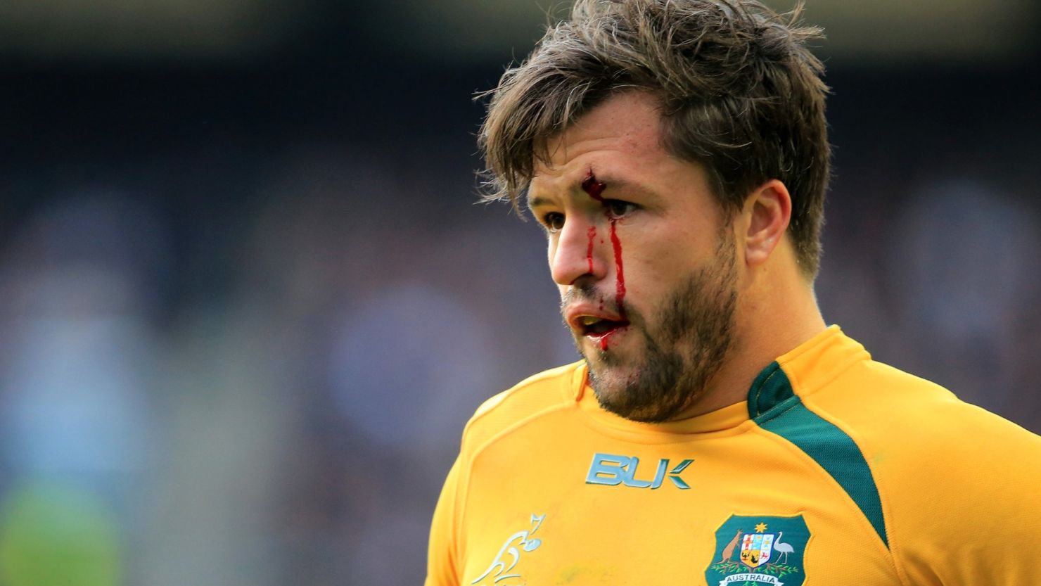 Adam Ashley Cooper is among the six Australian internationals forced to miss this weekend's game with Scotland. 