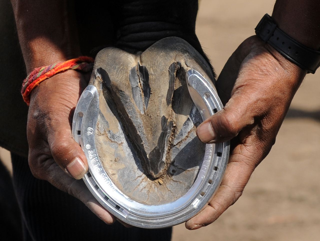 In this photo taken last year, a farrier fits a traditional aluminum horseshoe ahead of a race in India. 