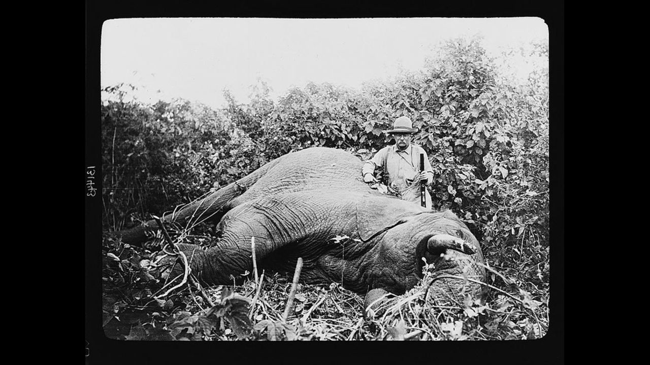 Theodore Roosevelt, the 26th president, had a passion for <a href="http://www.theodoreroosevelt.org/site/c.elKSIdOWIiJ8H/b.8344379/k.2B69/The_Hunter.htm" target="_blank" target="_blank">active outdoor life</a> and went on <a href="http://naturalhistory.si.edu/onehundredyears/expeditions/SI-Roosevelt_Expedition.html" target="_blank" target="_blank">hunting expeditions</a>. 