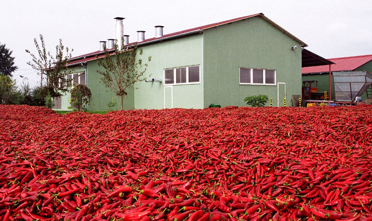 Big pile of paprika -- and a lot of Vitamin C.