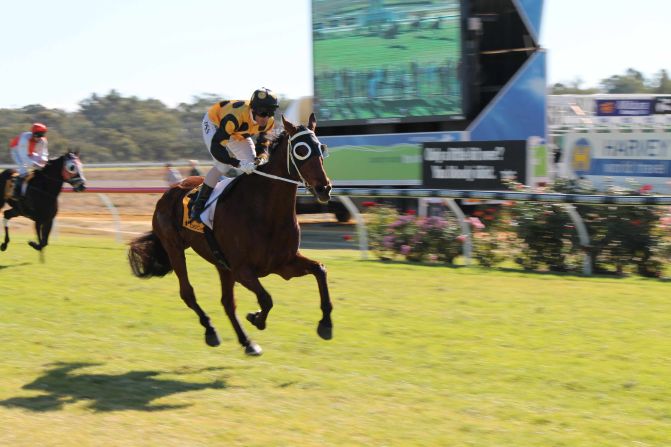 Introducing arguably the world's worst horse....Vote for Lust. The horse recently retired from racing but could well lay claim to being the world's slowest horse with 90 races without a solitary victory. There were second places over the years but two of those, came in what were two-horse races.