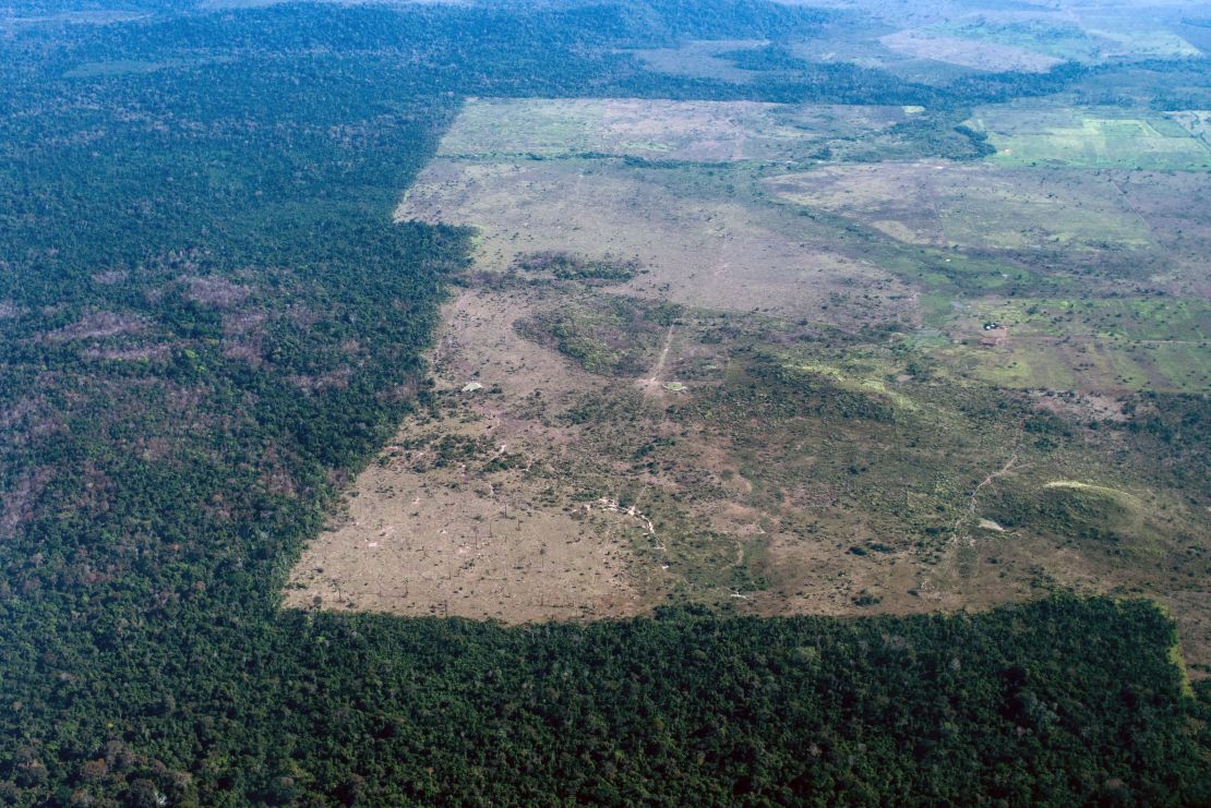 The area cleared of trees stops at the border of a reservation in northern Brazil. 