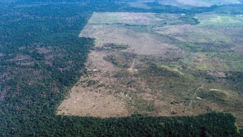 The area cleared of trees stops at the border of a reservation in northern Brazil. 