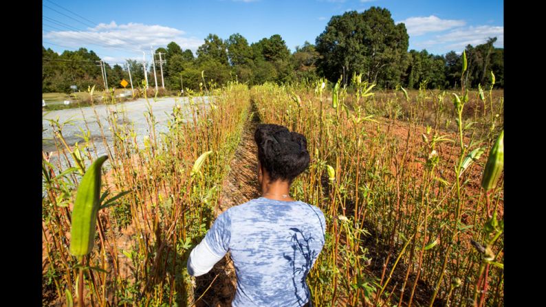 Access to fresh food is an issue for many communities throughout the United States. According to the Department of Agriculture, nearly 10% of the U.S. population lives in low-income areas more than a mile from a supermarket.