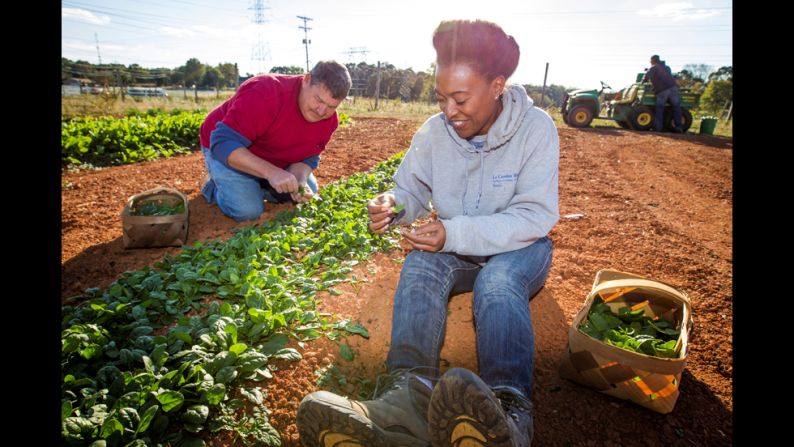 CNN Hero Robin Emmons picks spinach with Danny Phillips near Charlotte, North Carolina. When Emmons learned that more than 72,000 people in Charlotte lack access to fresh produce, she <a href="index.php?page=&url=http%3A%2F%2Fwww.cnn.com%2F2013%2F09%2F12%2Fliving%2Fcnnheroes-emmons-food-deserts%2Findex.html">ripped up her backyard</a> and started growing fruits and vegetables for area residents.