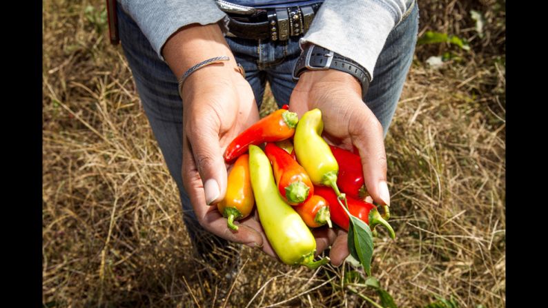 Emmons holds a handful of peppers just picked by volunteers. Since 2008, her nonprofit, <a href="index.php?page=&url=http%3A%2F%2Fwww.sowmuchgood.org%2F" target="_blank" target="_blank">Sow Much Good</a>, has grown more than 26,000 pounds of produce for underserved communities in Charlotte.