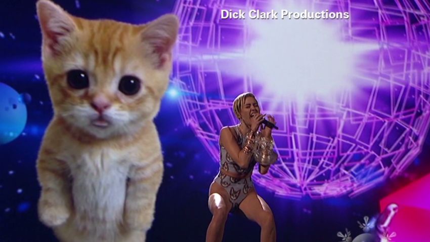 tsr moos miley cyrus ama cat in background_00000807.jpg