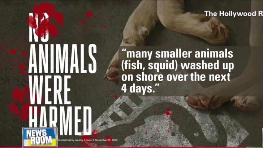 nr hollywood animal abuse_00041120.jpg