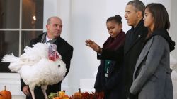 Obama turkey pardon 2013.gi