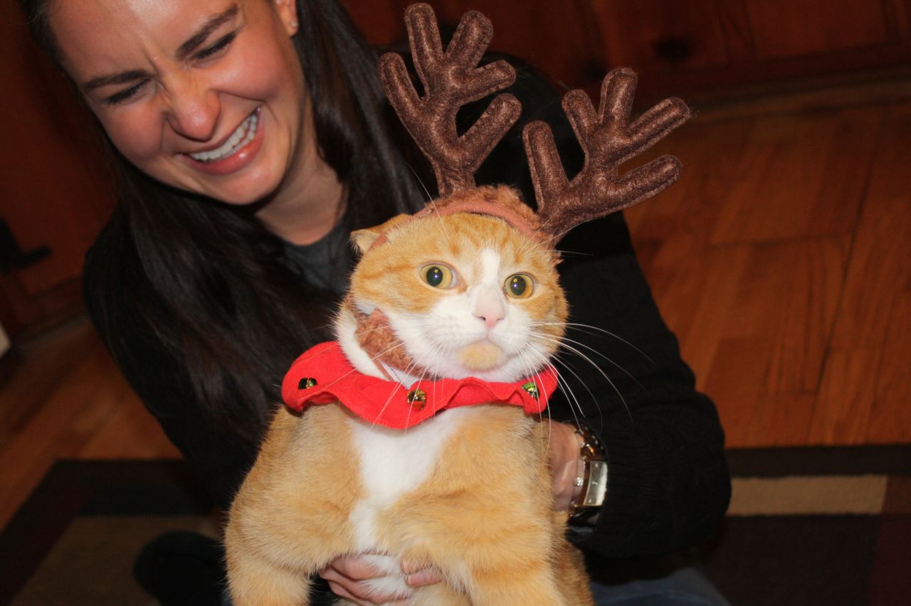 Kristen Patten ayuda a Col. Mustard, el gato, a posar para una fotografía que aparecería en una tarjeta navideña. Col. Mustard no está feliz.