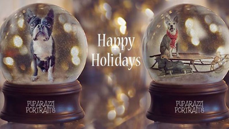 Kapoor created digital images of people's pets in snow globes last year in order to raise money for the Alabama Boston Terrier Rescue group. Via her <a href="https://www.facebook.com/PuparazziPortraits" target="_blank" target="_blank">Facebook page</a>, she raised more than $300 for the organization last year. She will be creating the snow globe images again this year.