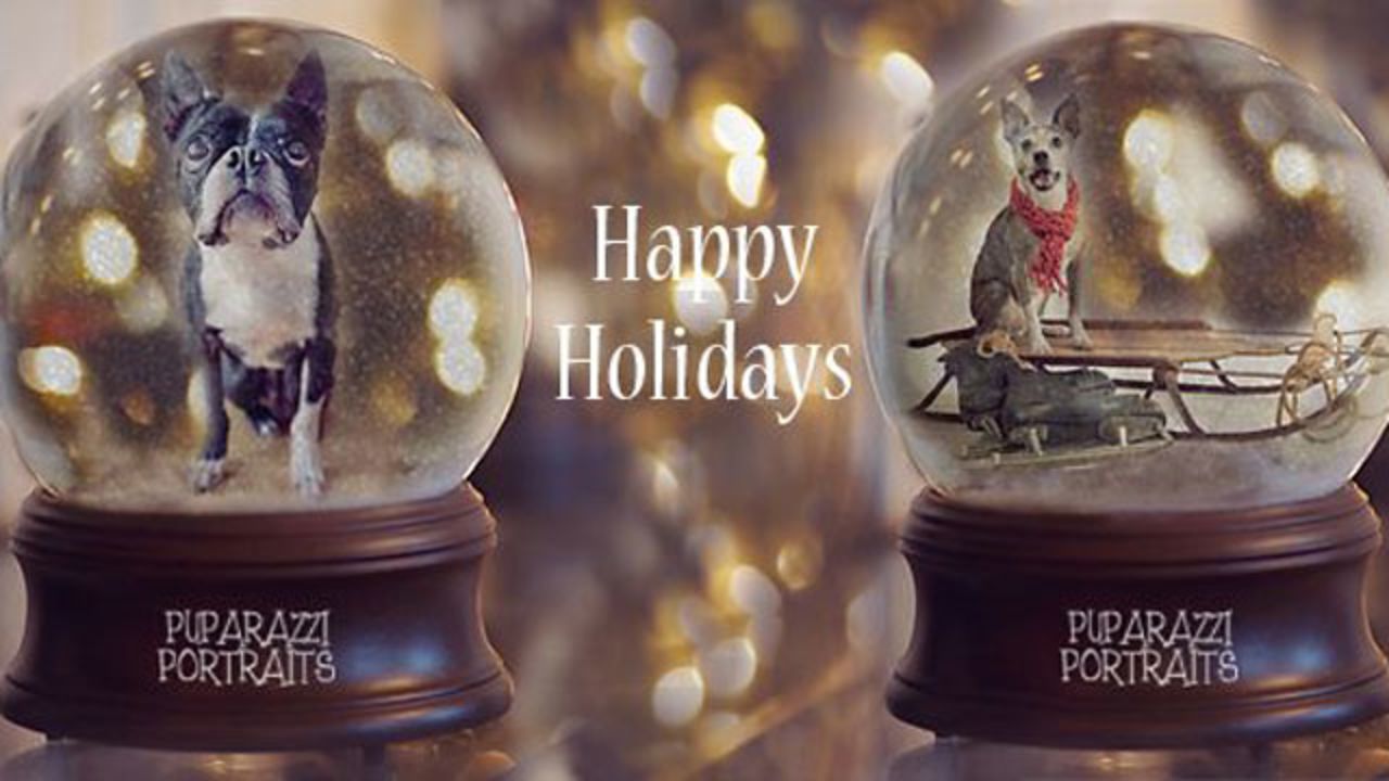 El año pasado, Kapoor creó imágenes digitales de las mascotas de varias personas en esferas de nieve para recaudar dinero para el grupo Alabama Boston Terrier Rescue. Por medio de su página de Facebook, recaudó más de 300 dólares para la organización el año pasado. Este año, volverá a crear las imágenes en esferas de nieve.