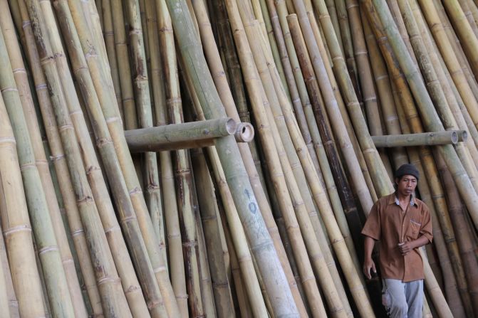 Around 200 farmers across Bali are paid to grow bamboo on areas of their land not used for agriculture. Some of the largest  logs are 25 meters long but only take 3 years to grow. 
