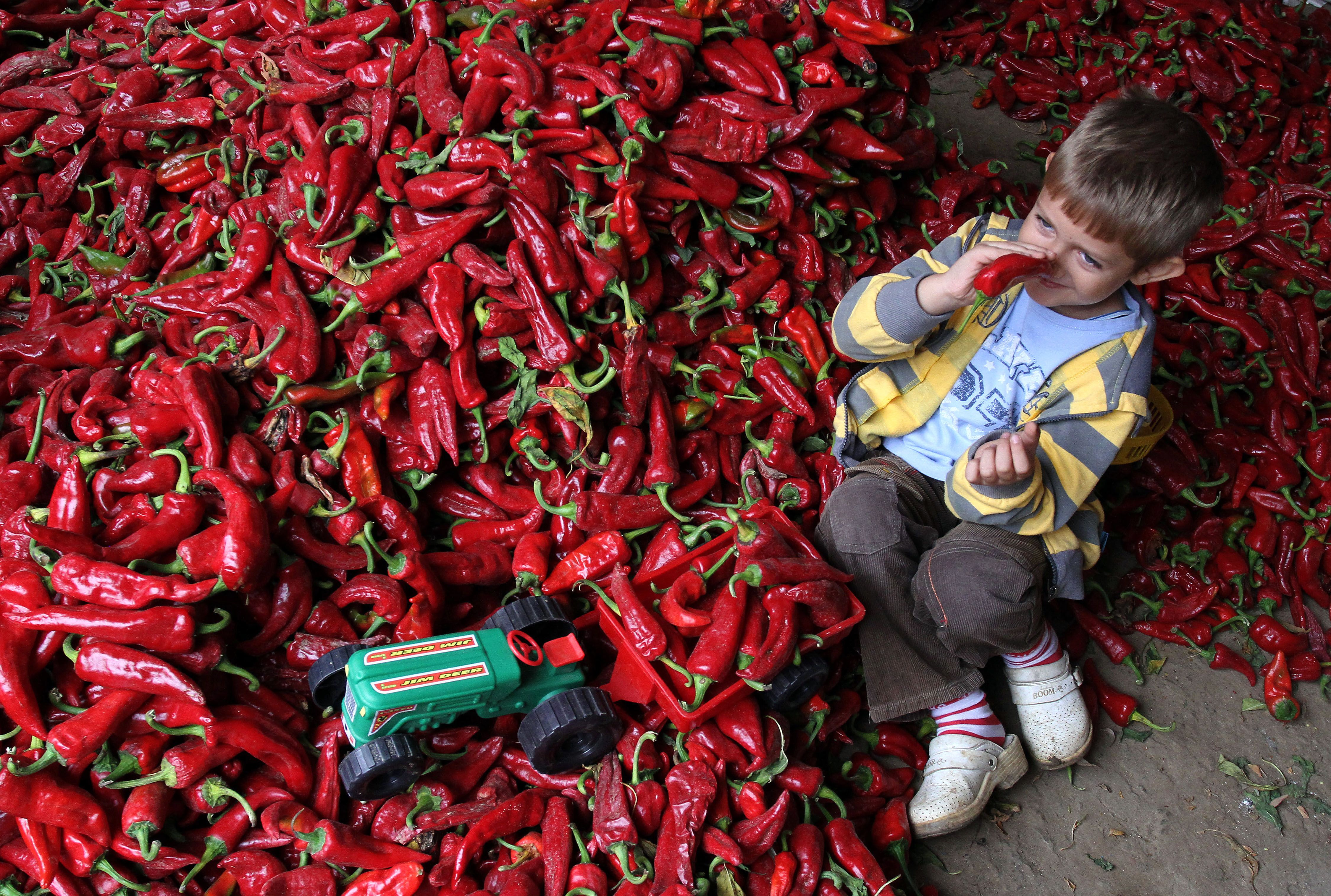 Paprika: Hungary's spicy obsession