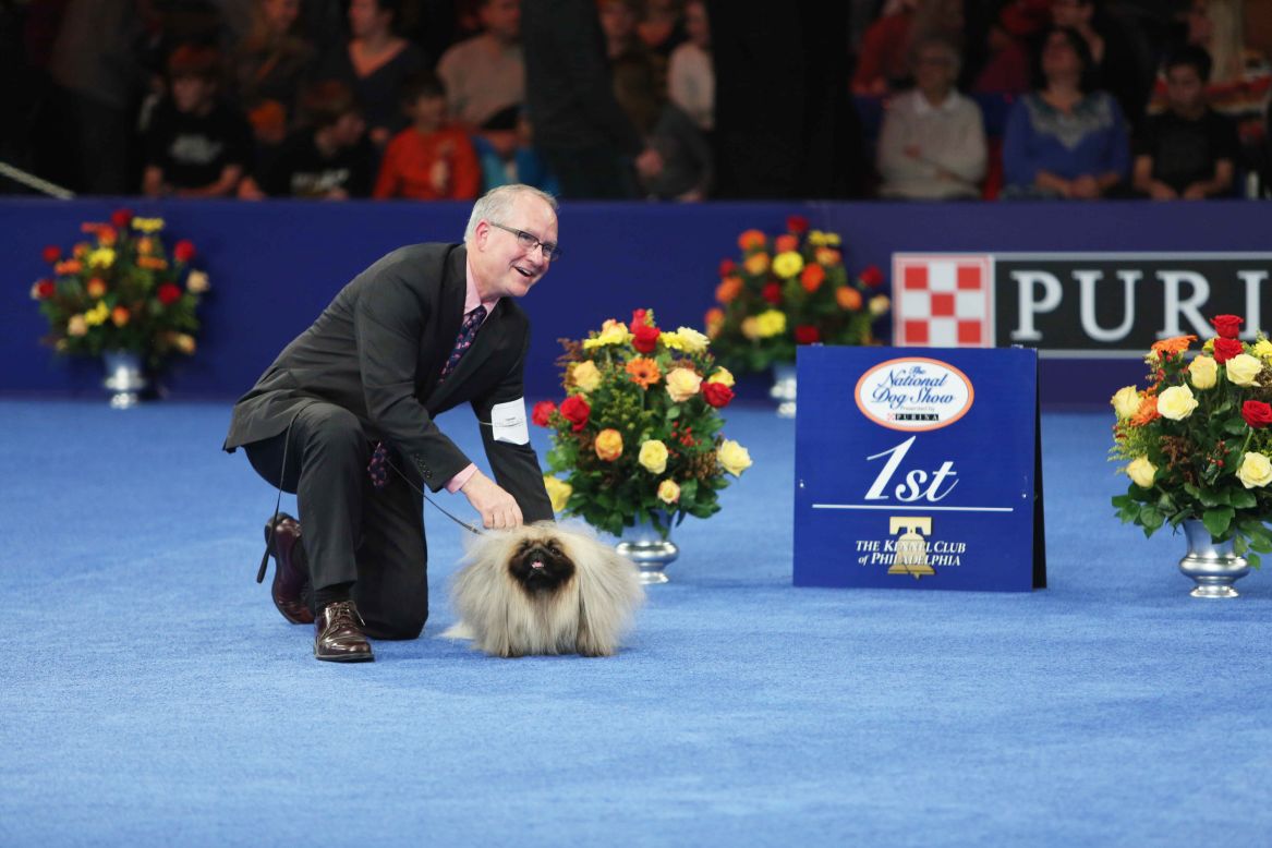 A Pekingese named Rodger took the prize for the toy group.