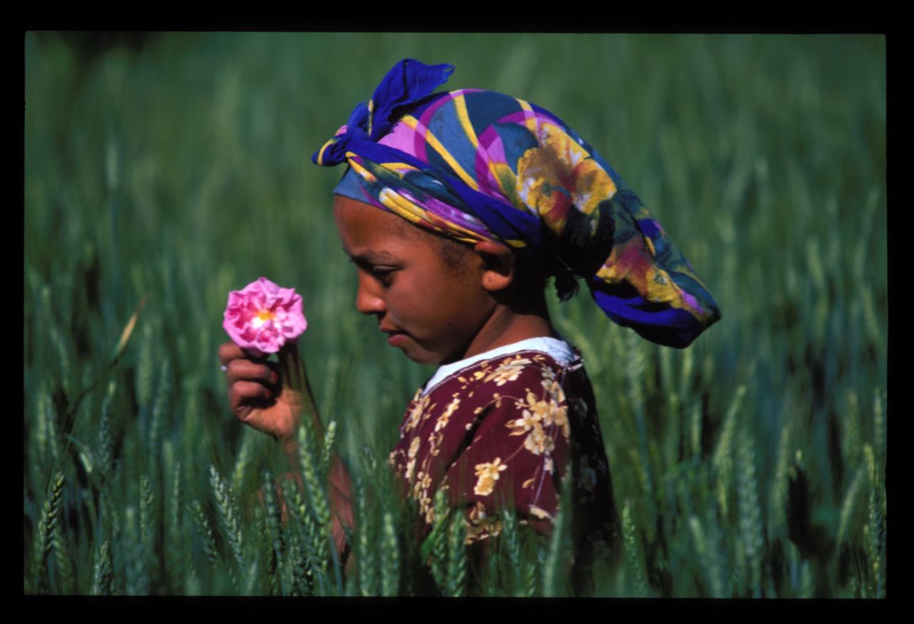 Each year, around 20,000 people visit the Festival of Roses in the town of El-Kelaâ M'Gouna .