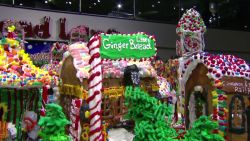 wxp vo attempted world record gingerbread village_00005605.jpg