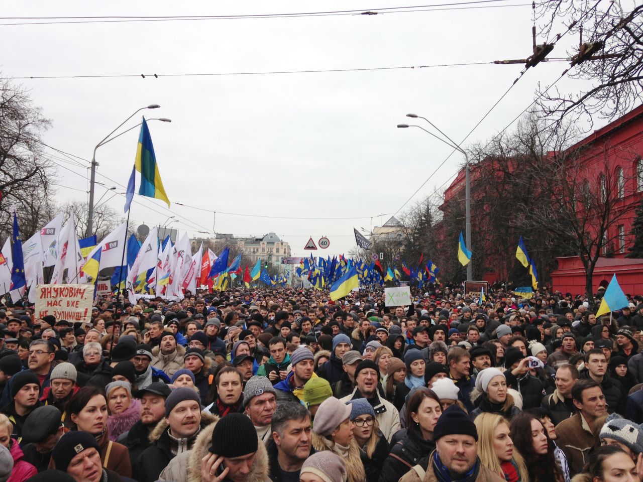 Anti-government protesters gather near Shevchenko University on December 1 in Kiev.