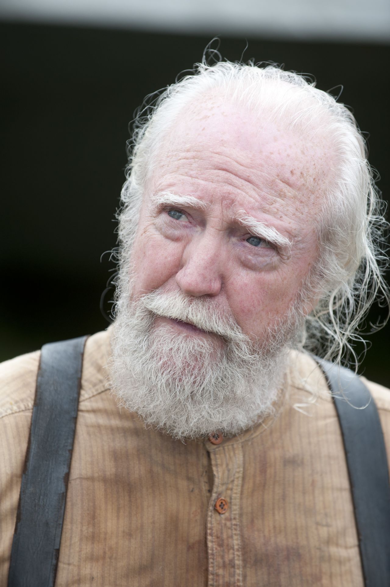 The death of the wise doctor, Hershel, during "The Walking Dead's" fourth season broke some hearts. 