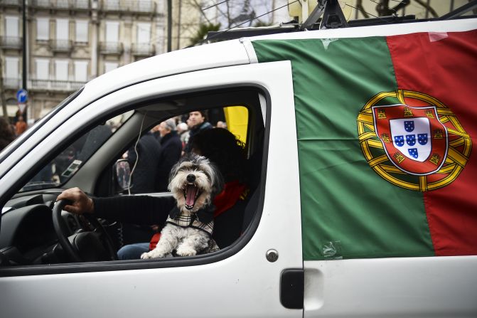 The Portuguese capital scored second in the poll overall -- and travelers with a pooch won't find any city more welcoming.