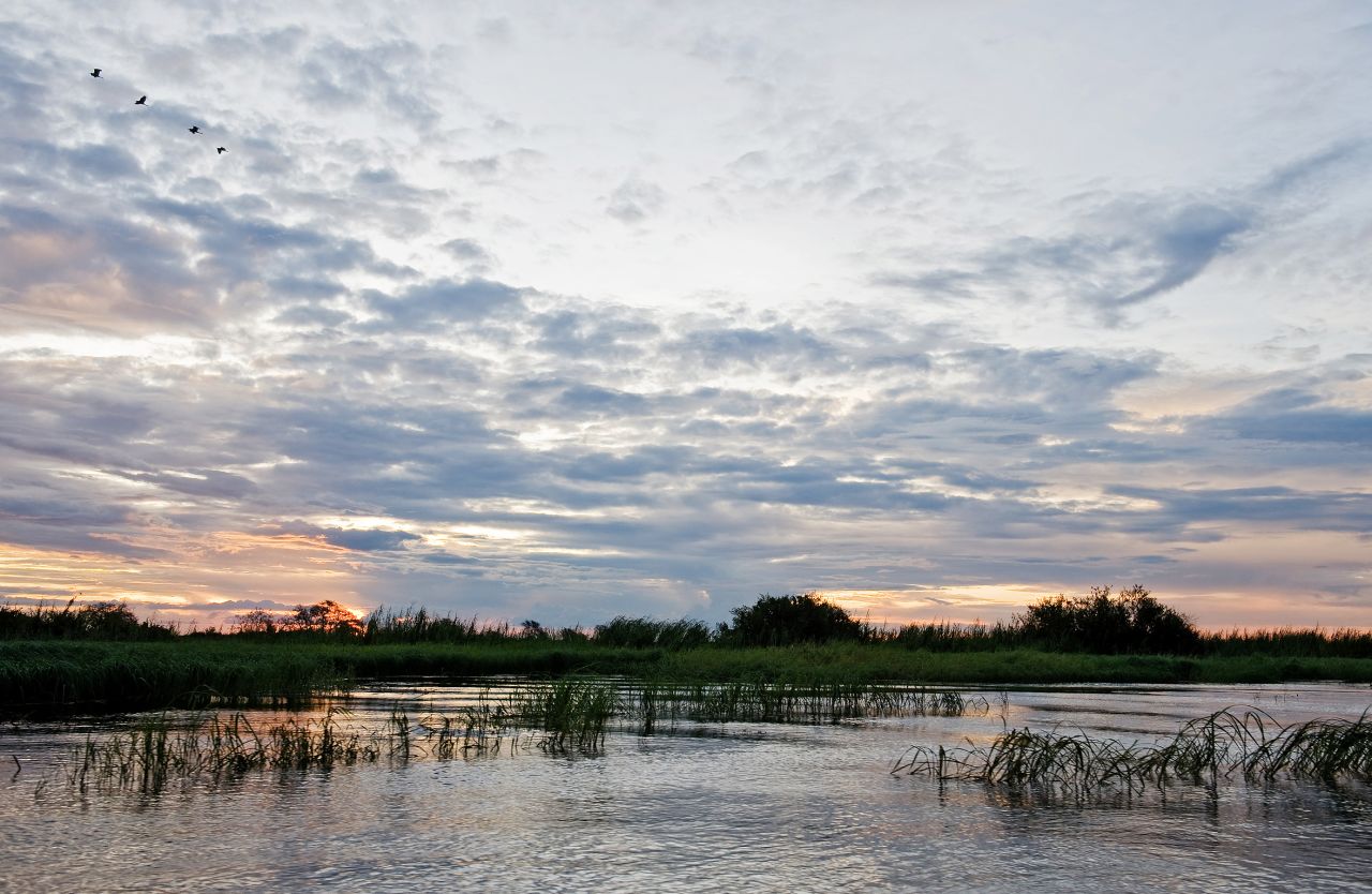 To preserve and protect the five nations' delicate ecosystems, the five member states are cooperating to pool resources and open borders.