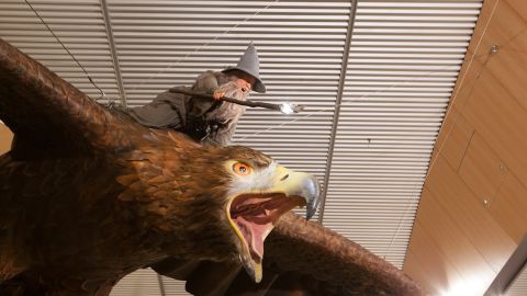 The two eagles in Wellington International Airport each weigh approximately one ton, and have a wingspan of 15 feet. 