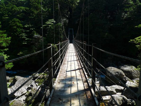 Walkway across the the tweely named Yakusugiland where ancient ceder trees have stood for millennia. 