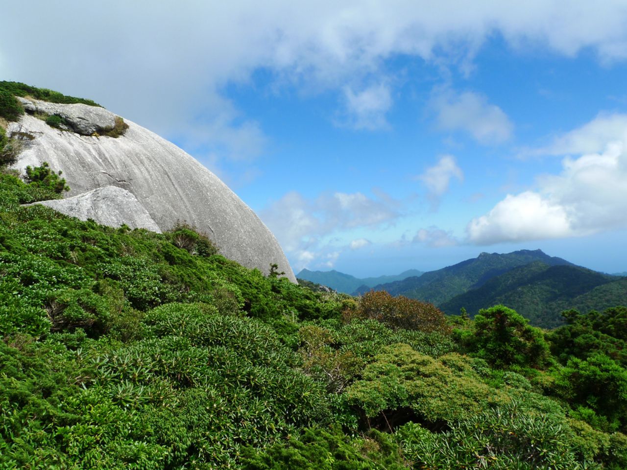 A walk along the Yodagawa trail takes you to some of the island's peaks.