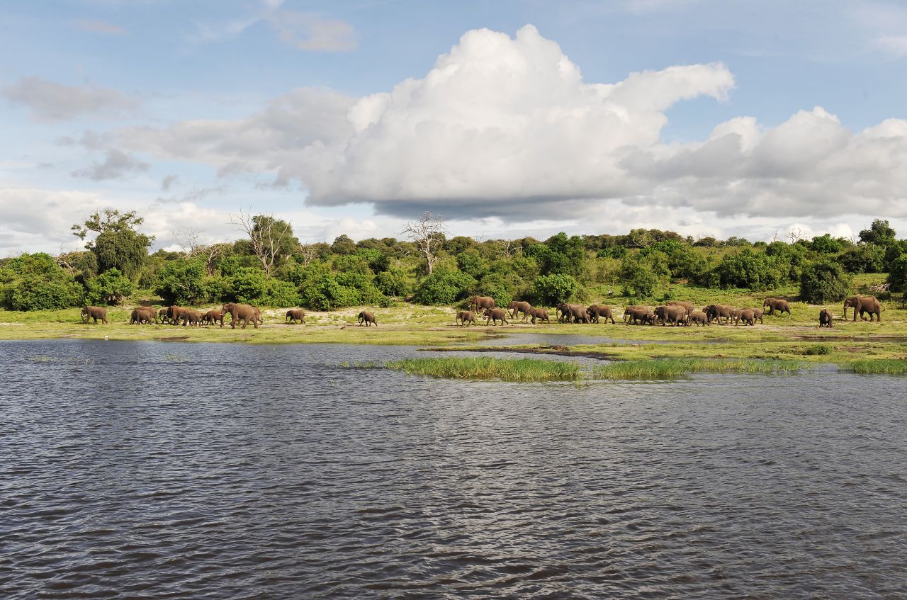 KAZA lies in the Kavanago and Zambezi river basins where Angola, Botswana, Namibia, Zambia and Zimbabwe meet.