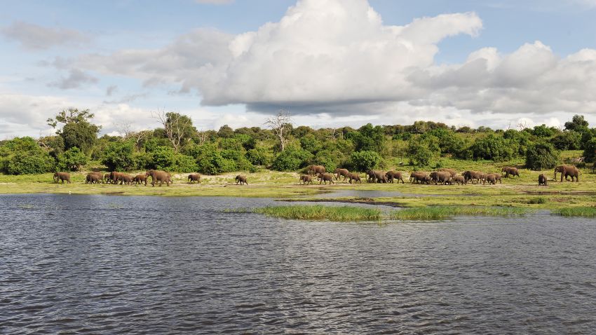 KAZA lies in the Kavanago and Zambezi river basins where Angola, Botswana, Namibia, Zambia and Zimbabwe meet.