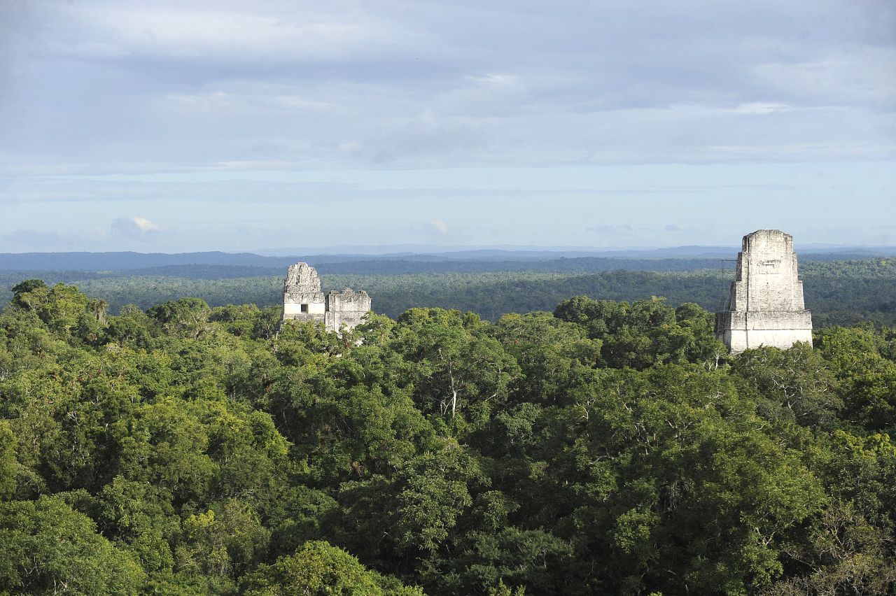 Los templos mayas en Tikal se asoman entre los árboles en el departamento de Petén, Guatemala. 