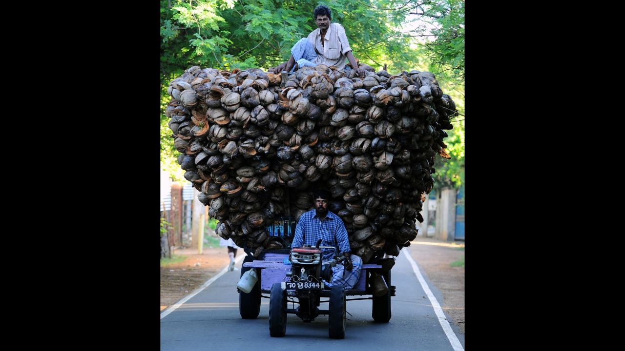 <strong>November 18:</strong> Tamil farmers transport coconut husks in Jaffna, Sri Lanka.